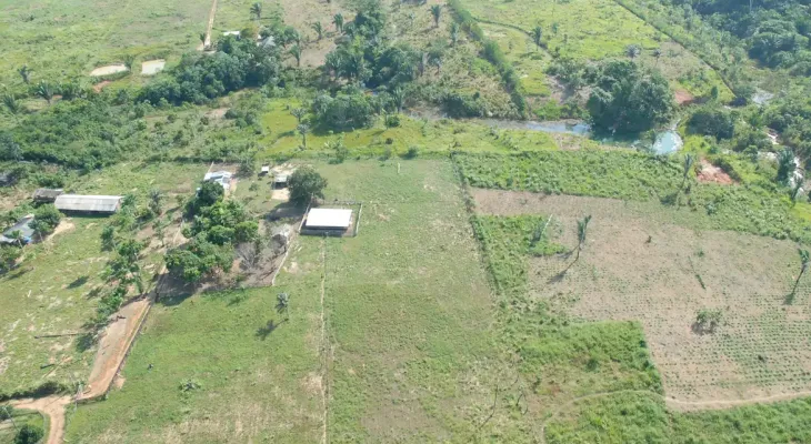 STF mantém restrições à compra de terras por estrangeiros e consolida controle sobre capital internacional no campo