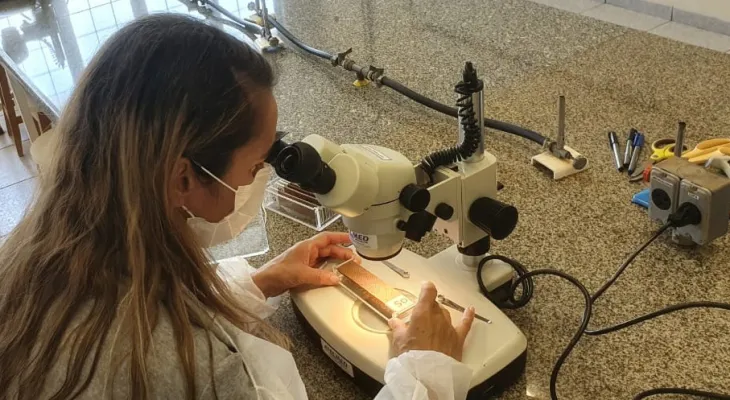 Paraná troca LIRAa por 'armadilhas tecnológicas' para monitorar a dengue; entenda como funciona