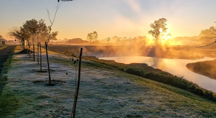 Maio terá massa de ar polar e risco de geada no Paraná; veja quando o frio aperta