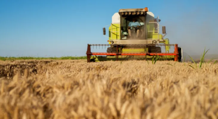 Disputa entre agronegócio e leis estaduais sobre função social da terra vai para conciliação no STF