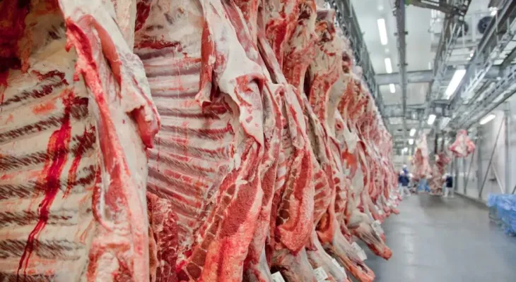 União Europeia barra Brasil de lista para exportação de carne e produtos animais
