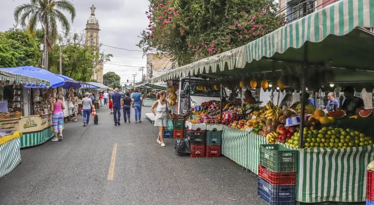 Guia das Feiras em Curitiba: Veja horários e locais neste final de semana