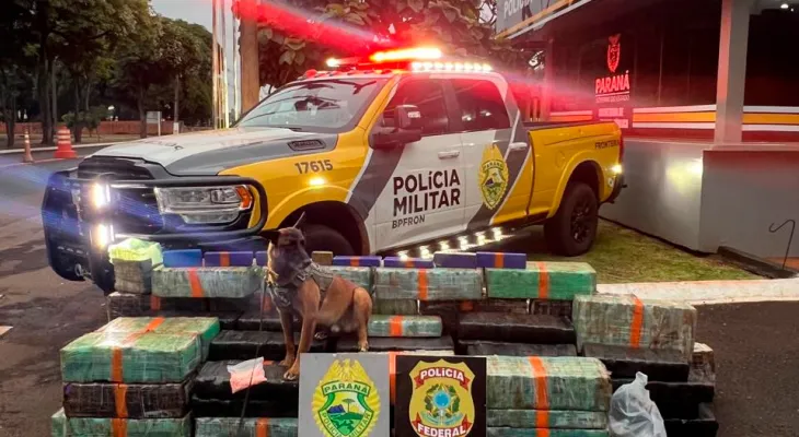 Polícia apreende quase 3 toneladas de maconha em Cascavel e cidades do Oeste