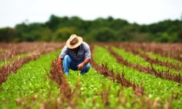 Seguro Rural e renegociação de dívidas colocam agro em semana decisiva no Congresso