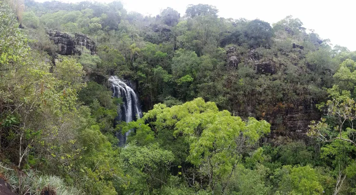 Junho Verde reforça conscientização ambiental e destaca avanços em políticas sustentáveis no Paraná