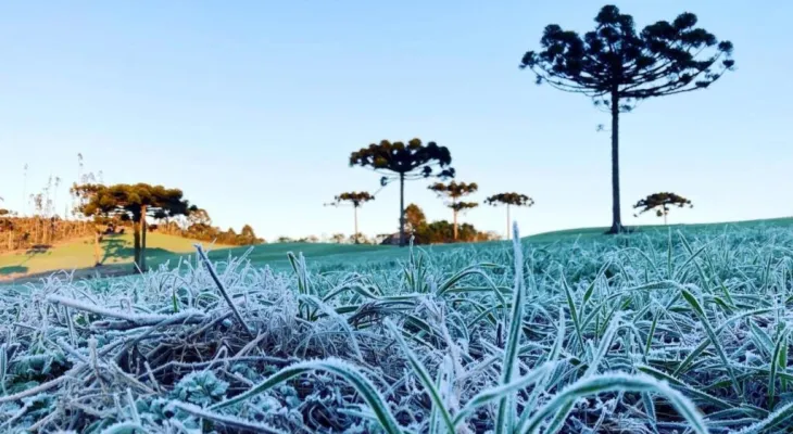 Nova onda de frio deve derrubar as temperaturas no Paraná nesta semana