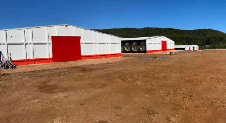 Cooperativa investe R$ 30 milhões para ampliar complexo de aves no Paraná