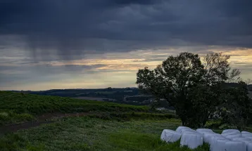 Alerta do El Niño: fenômeno pode durar até 2027 e disparar inflação