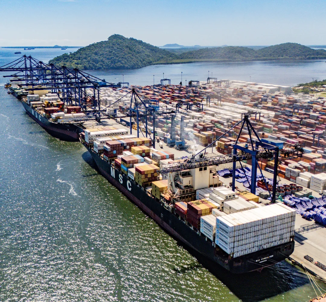 Porto de Paranaguá concentra quase metade das exportações brasileiras de frango em 2026