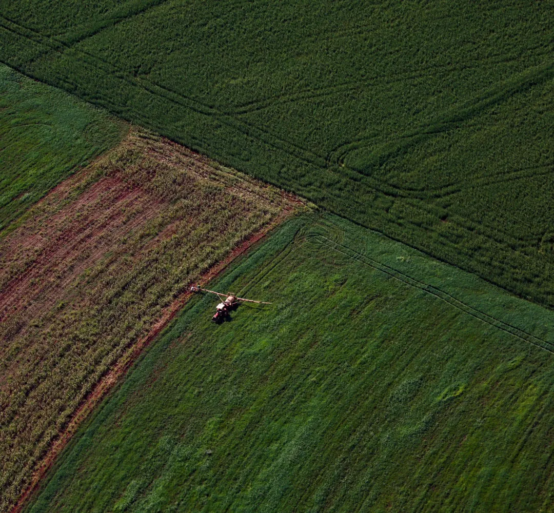 Valor da produção agropecuária do Paraná salta para R$ 212,6 bilhões em 2025