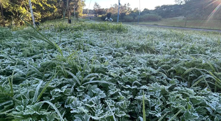 Frio continua no Paraná e quinta-feira pode ter novas temperaturas negativas e recordes de mínima