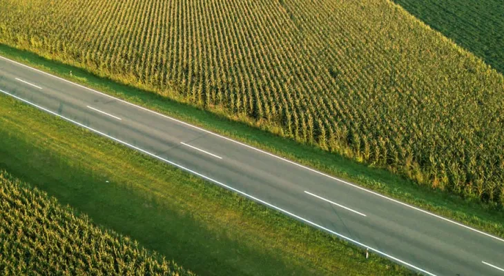 FAEP orienta produtores sobre cercamento em rodovias e diz que responsabilidade é das concessionárias