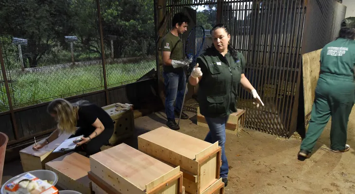 Canal de denúncias ambientais do IAT recebe 2,8 mil registros em quatro meses no Paraná