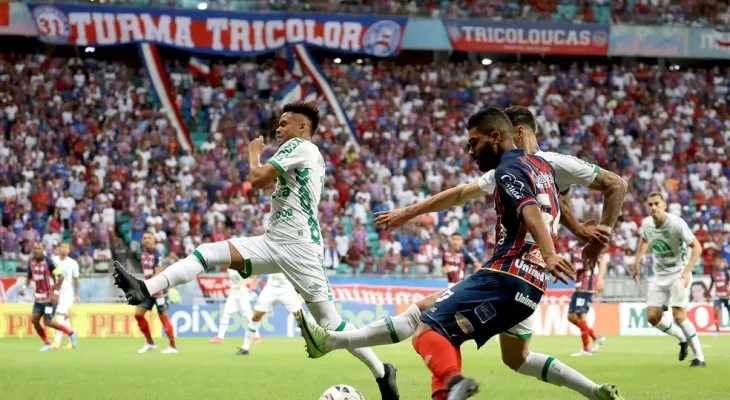 Bahia x Chapecoense: onde assistir, horário e escalações pelo Brasileirão