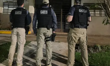 Operação Canópio investiga esquema de corrupção em contrato de poda de árvores em Guaíra