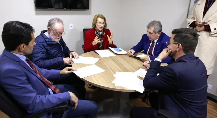 Comissão de Saúde da Alep aprova projetos sobre doenças raras e uso da tirzepatida no SUS