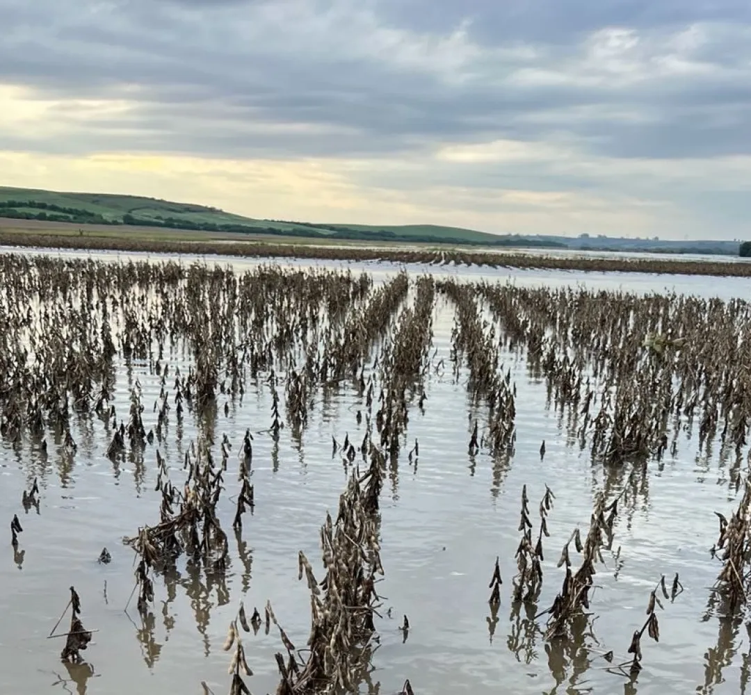 Um mês após MP, agro cobra liberação de crédito para renegociação de dívidas