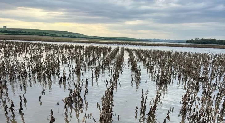 Um mês após MP, agro cobra liberação de crédito para renegociação de dívidas