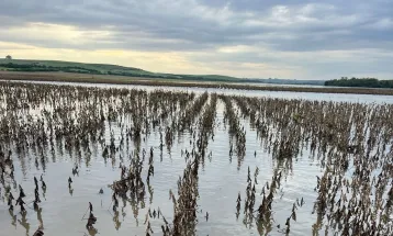 Um mês após MP, agro cobra liberação de crédito para renegociação de dívidas