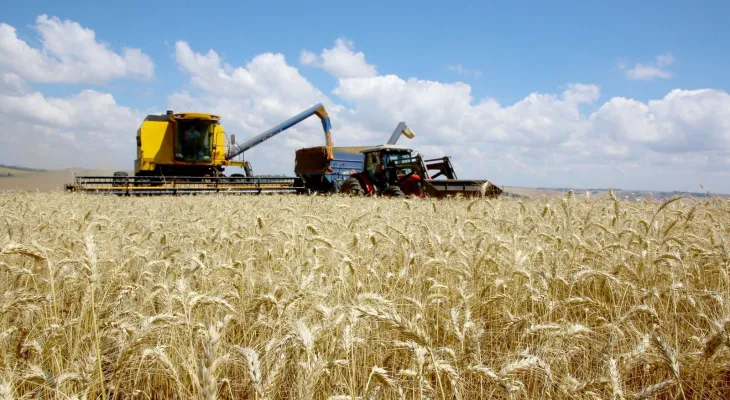 Crise financeira pressiona agronegócio e faz pedidos de recuperação judicial crescerem 21,9%