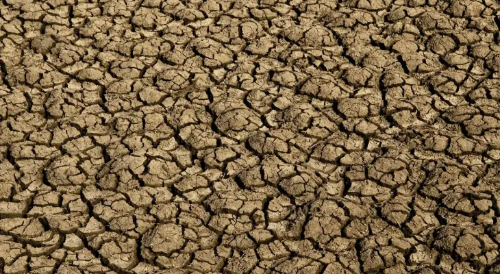 Risco de desertificação no Brasil ameaça segurança hídrica e alimentar