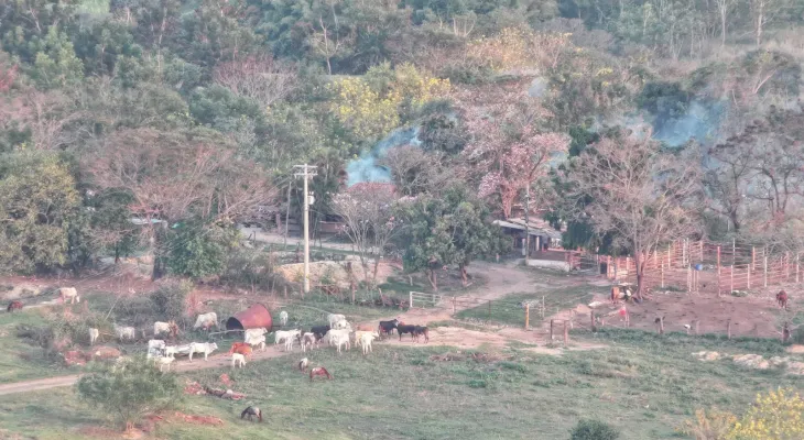 Polícia Civil confirma execuções planejadas na chacina de Icaraíma