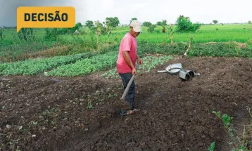 TJPR impede despejo de arrendatários rurais por dívida ainda discutida na Justiça