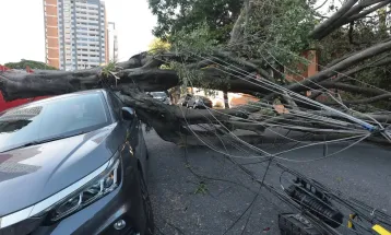 Respostas à crise climática exigem inovação, defende setor elétrico