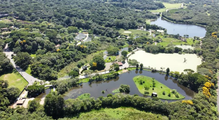Zoológico de Curitiba fecha para visitação até 5 de setembro durante obras de manutenção