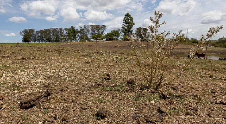 Justiça suspende cobrança de R$ 358 mil de produtor rural após prejuízos com estiagem
