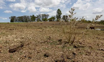 Justiça suspende cobrança de R$ 358 mil de produtor rural após prejuízos com estiagem