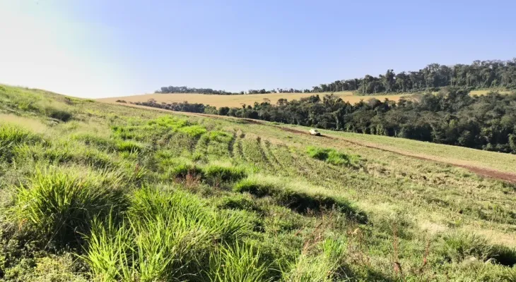Depois da COP17, Brasil é cobrado a efetivar metas de restauração
