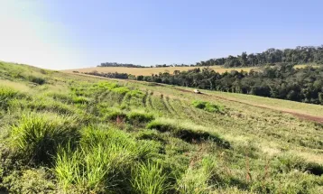 Depois da COP17, Brasil é cobrado a efetivar metas de restauração