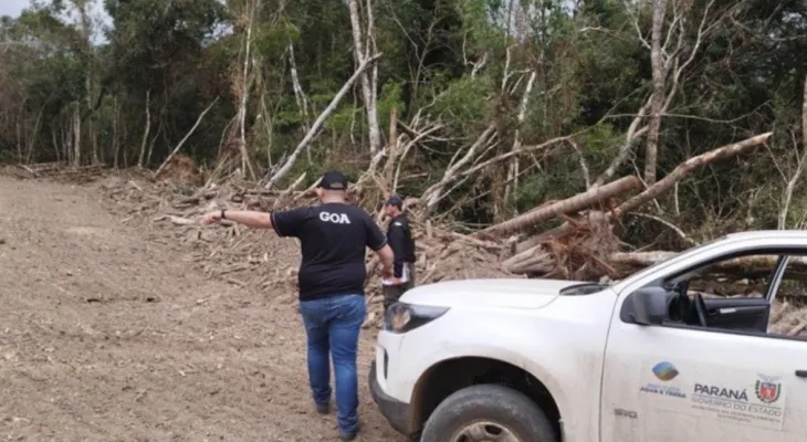 Operação contra desmatamento termina com 445 autuações e R$ 14,2 milhões em multas no Paraná