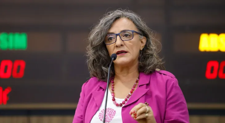 Ana Lúcia critica condução de denúncia e diz que caso afetou campanha