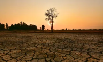 Ministério da Saúde mobiliza estados para planos de enfrentamento ao El Niño