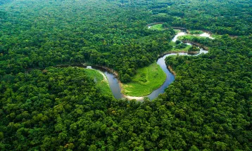 El Niño atingiu 38% das áreas habitadas da Amazônia em 2024