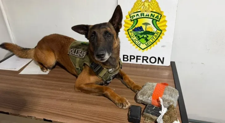 BPFRON prende dois homens e apreende quase 1,1 kg de maconha no Oeste do Paraná