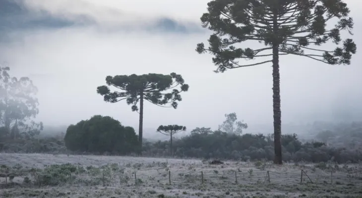 Brasil tem feriado de extremos: frio abaixo de zero no Sul e calor perto dos 40°C no Norte