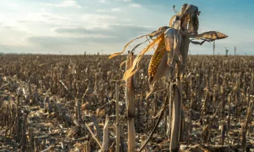 FPA cobra ajustes para destravar renegociação das dívidas rurais e garantir acesso ao crédito