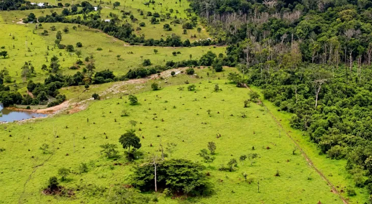 STF manda reexaminar penhora de pequena propriedade rural dada em hipoteca