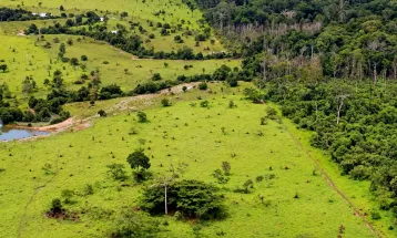 STF manda reexaminar penhora de pequena propriedade rural dada em hipoteca