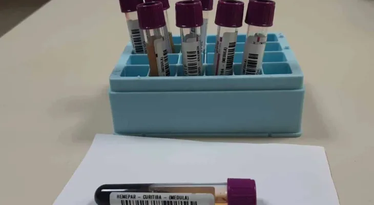 Paraná tem quase 600 mil doadores de medula óssea cadastrados