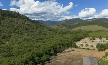 Agricultura ganha 11 milhões de hectares em 41 anos na Mata Atlântica