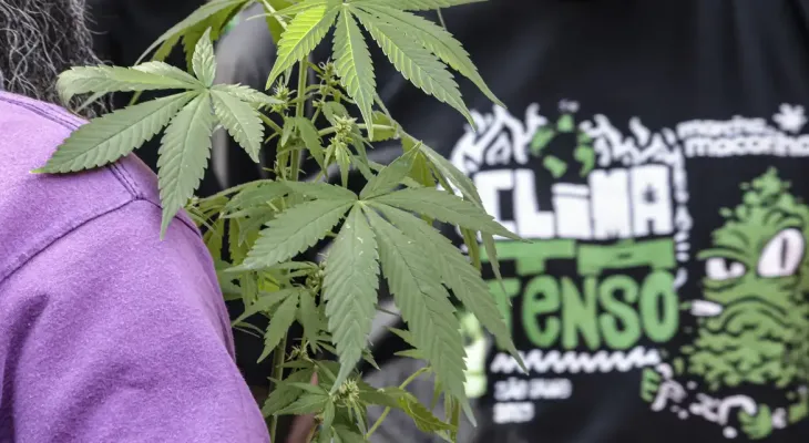 Seis em cada dez flagrantes por drogas terminam em prisão preventiva no Brasil