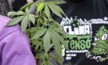 Seis em cada dez flagrantes por drogas terminam em prisão preventiva no Brasil