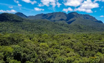Cinco autorizações concentram 95% das áreas liberadas pelo IAT para supressão de vegetação em 2026