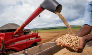 Consulta sobre bens sustentáveis no acordo Mercosul–UE acaba na quarta