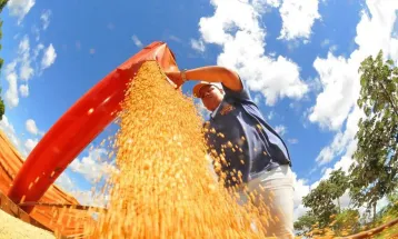 Brasil atinge atinge novo recorde na produção de grãos