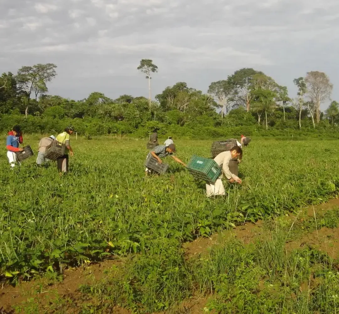 Agricultores